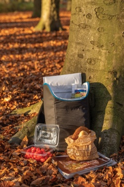 Logotrade Werbegeschenke das Foto: Explorer Outdoor Kühltasche