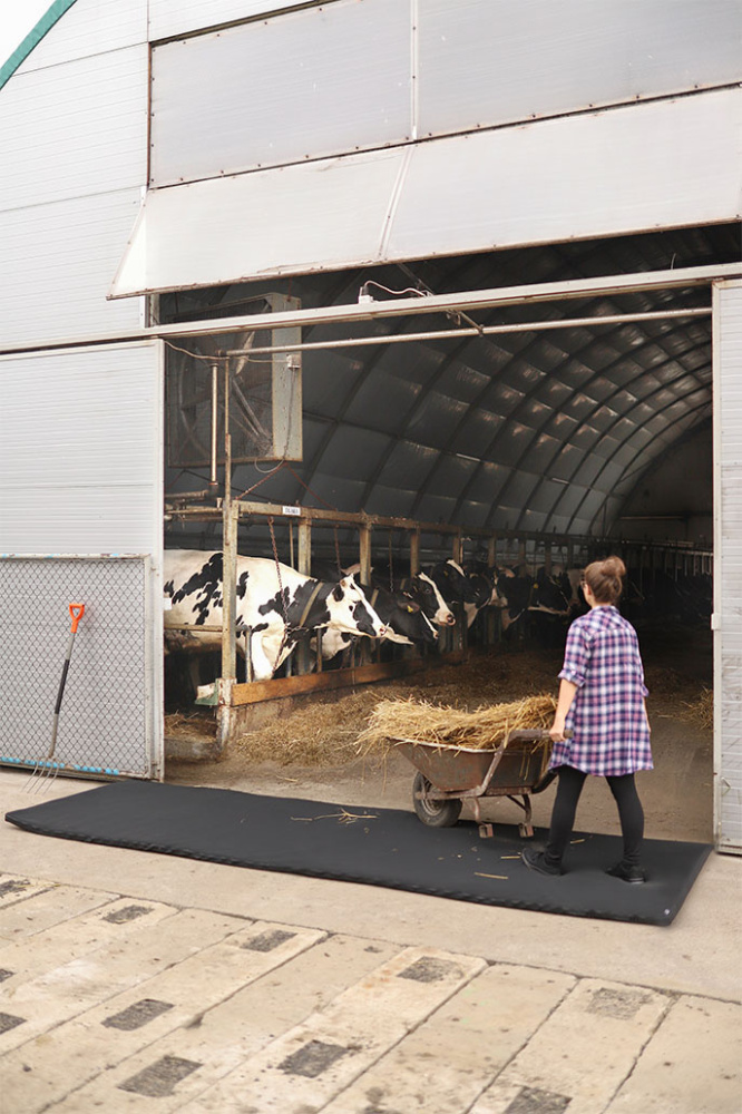 Logotrade Geschäftsgeschenke das Foto:  Cross-over-Desinfektionsmatte 120x400x4cm  1367087