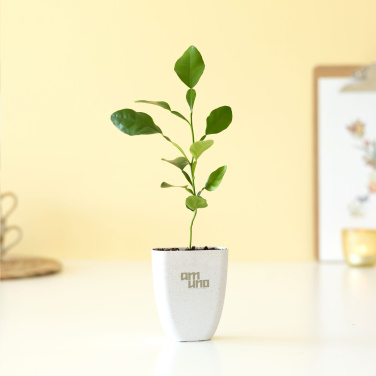 Logotrade Werbeartikel das Foto: Treemore Briefkastenbäume Kaffir Lemon