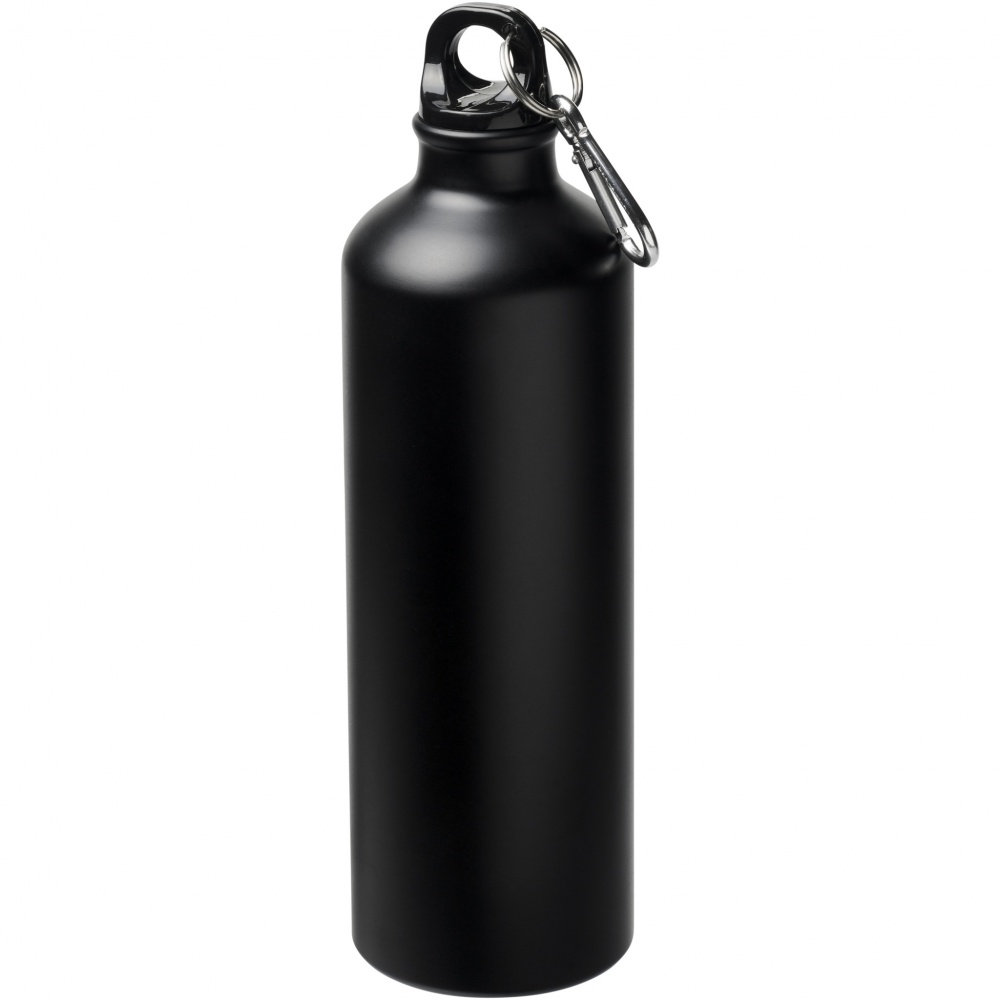 Logo trade promotional merchandise photo of: Oregon 770 ml matte water bottle with carabiner