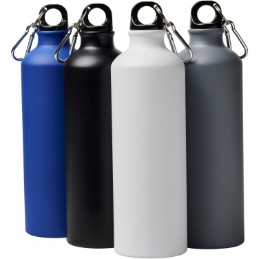 Logotrade promotional gift picture of: Oregon 770 ml matte water bottle with carabiner