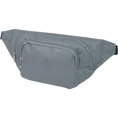 Logo trade promotional items image of: Santander fanny pack with two compartments