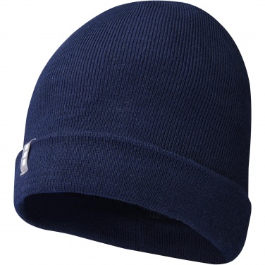 Logotrade promotional giveaways photo of: Hale Polylana® beanie
