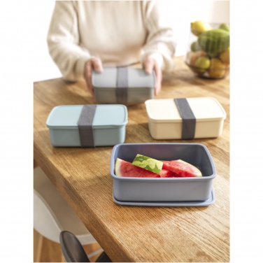 Logo trade promotional items image of: Dovi recycled plastic lunch box
