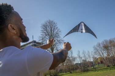 Logo trade corporate gifts image of: Delta kite