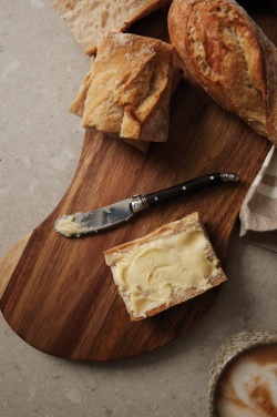 Logo trade promotional giveaway photo of: VINGA Gigaro butter knives