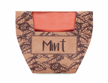 Logotrade promotional item image of: Terracotta pot mint seeds