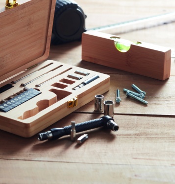 Logo trade promotional gifts image of: 21 pcs tool set in bamboo case