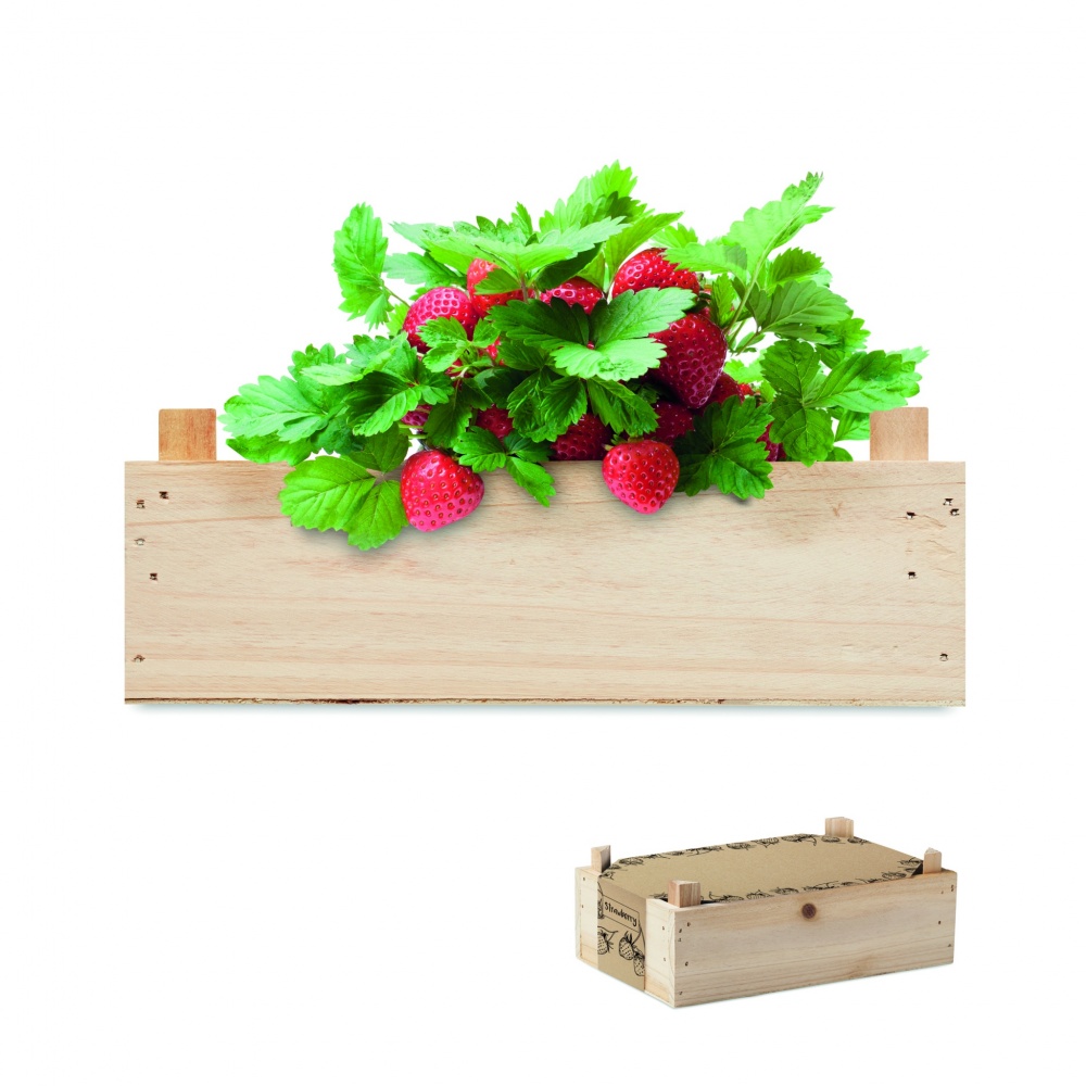 Logo trade corporate gift photo of: Strawberry kit in wooden crate