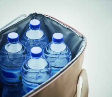 Logotrade advertising product image of: Large cooler bag canvas 450gr/m
