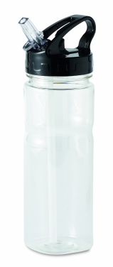 Logotrade promotional item image of: 500 ml PCTG bottle