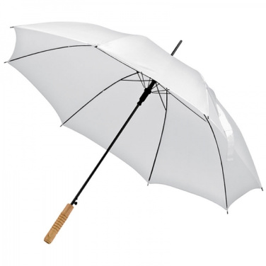 Logotrade promotional merchandise image of: Automatic walking-stick umbrella LE MANS