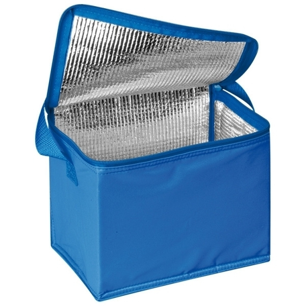 Logotrade advertising product picture of: Cool bag 6 x 0,5 l MESA