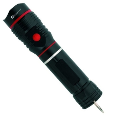Logo trade promotional giveaway photo of: Flashlight BIWA Schwarzwolf