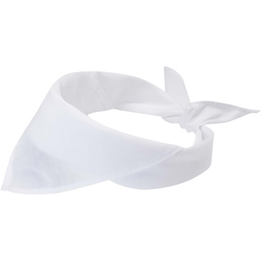 Logotrade corporate gift picture of: Heracles bandana
