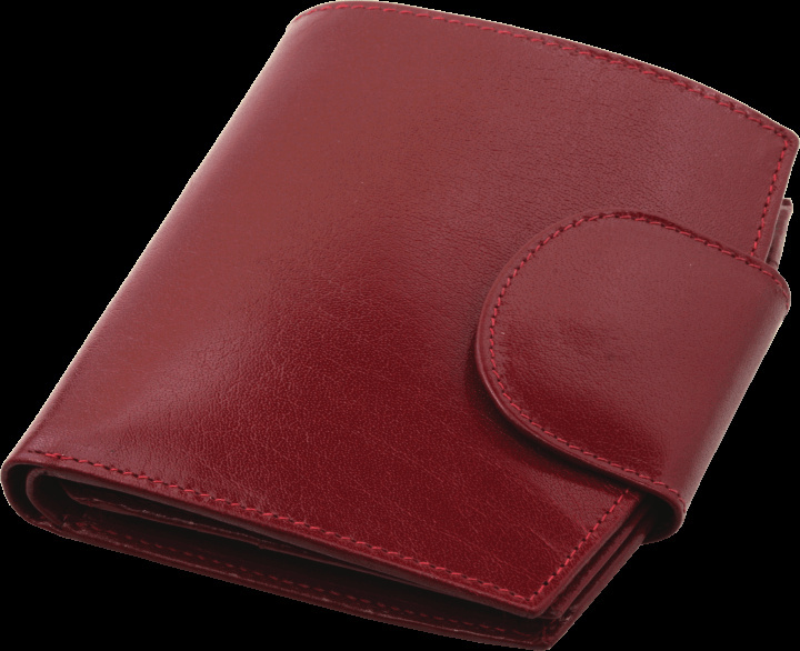 Logo trade advertising products image of: Wallet 31901300