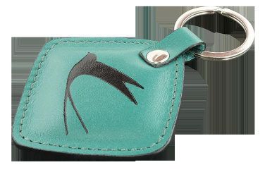 Logotrade promotional merchandise photo of: Keyring 564131
