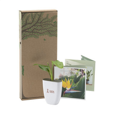 Logotrade promotional merchandise image of: Treemore Letterbox Trees Bird of Paradise plant
