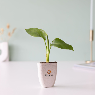 Logotrade promotional product picture of: Treemore Letterbox Trees Bird of Paradise plant