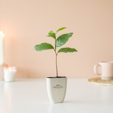 Logo trade corporate gifts picture of: Treemore Letterbox Trees Tea plant