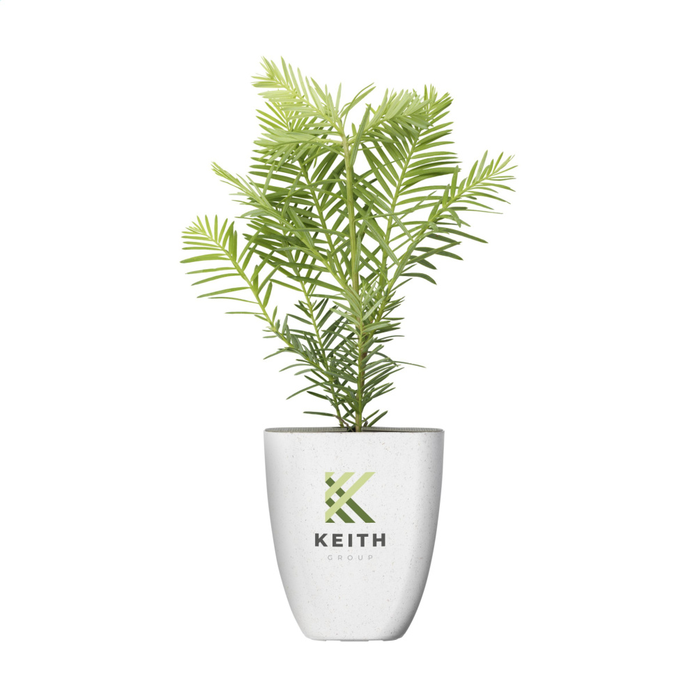 Logo trade promotional item photo of: Treemore Letterbox Trees Giant Sequoia