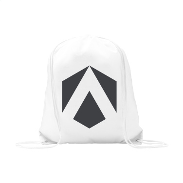 Logotrade promotional giveaway image of: PromoBag 210D backpack