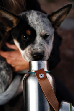 Logotrade promotional giveaway picture of: Black+Blum Insulated Water Bottle Small 500ml