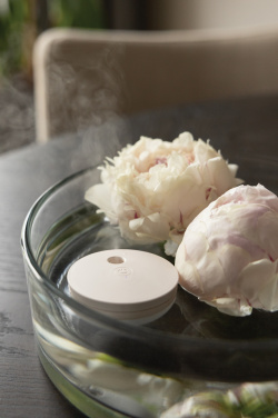 Logo trade promotional product photo of: Breevia RCS rplasic re-chargeable floating humidifier