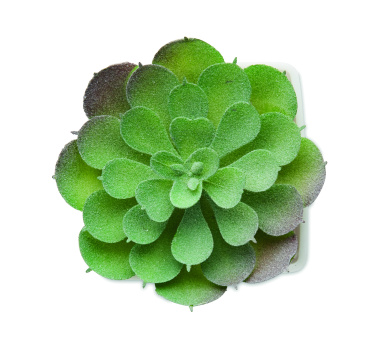 Logo trade promotional items picture of: Mini artificial plant