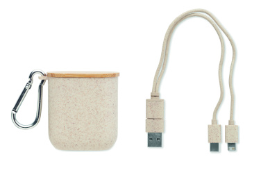 Logotrade business gifts photo of: Cable set in case