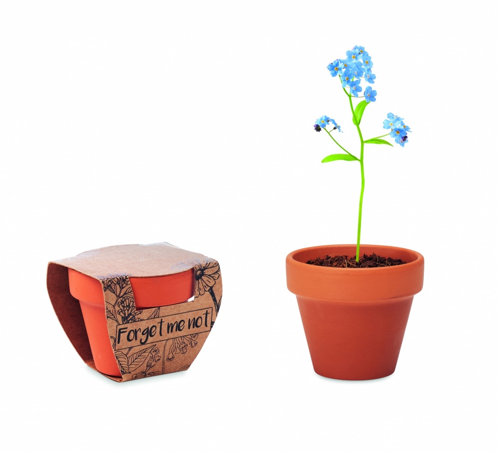 Logotrade firmakingitused pilt: Terrakotapott "ära unusta mind"