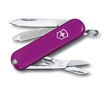 Logotrade firmakingitused pilt: Taskunuga CLASSIC SD Victorinox