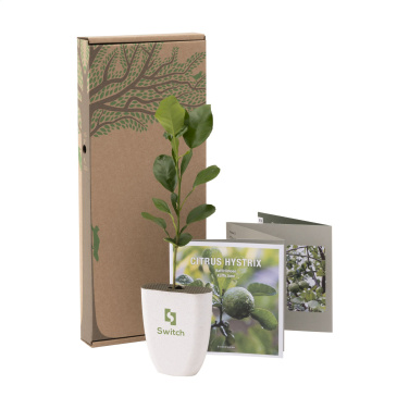 Logo trade meene pilt: Treemore Letterbox Trees Kaffir Lemon