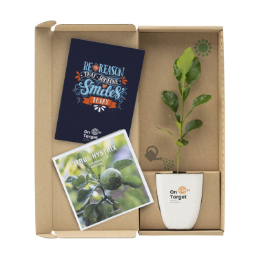 Logo trade firmakingi pilt: Treemore Letterbox Trees Kaffir Lemon
