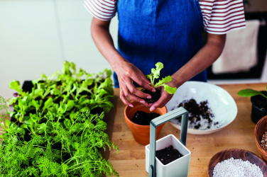 Logo trade ärikingid foto: LED-valgustusega istutuspott LUSHLET