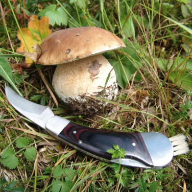 Logotrade liikelahjat mainoslahjat tuotekuva: Sieniveitsi PILZ Schwarzwolf