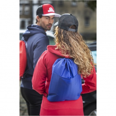 Logotrade dāvanas foto: Oriole 12 kārbu savelkams aukstuma maiss 5L
